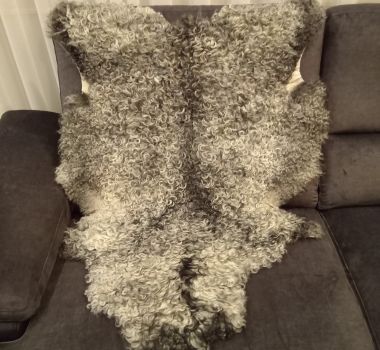 SKÓRA DEKORACYJNA GOTLAND