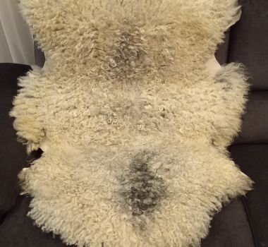 SKÓRA DEKORACYJNA GOTLAND