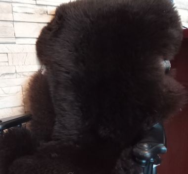 SKÓRA DEKORACYJNA OWCZA